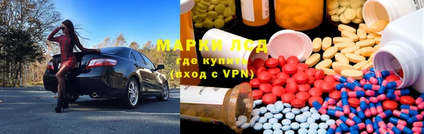 круглые Аркадак
