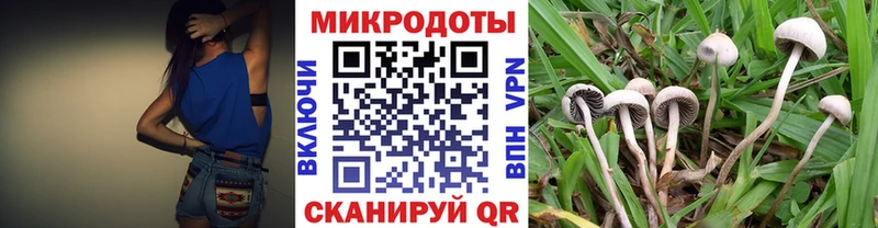 Псилоцибиновые грибы мухоморы  Вольск 