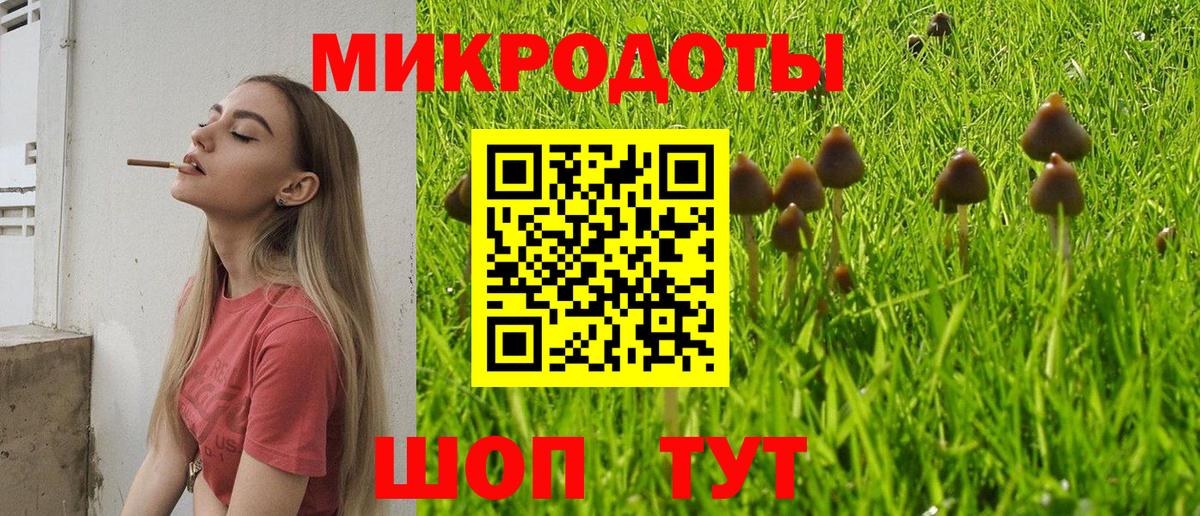 Вольск  Псилоцибиновые грибы Psilocybe  цены   Вход с VPN 