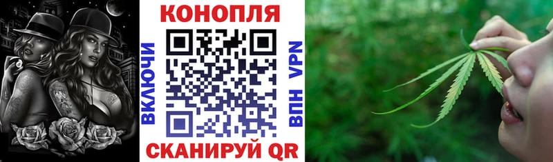Конопля OG Kush  Вольск 